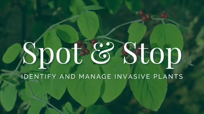 Spot & Stop: Identify and Manage Invasive Plants