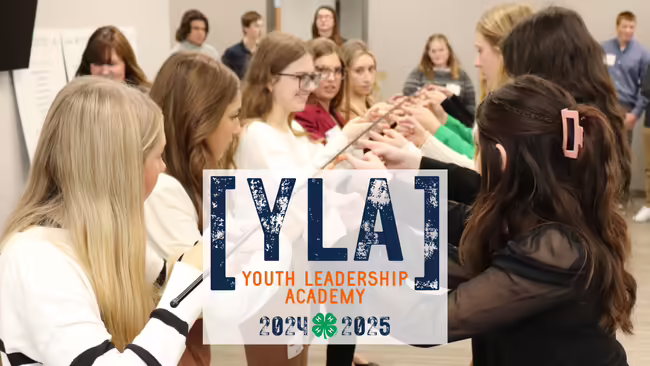 students participate in a team building activity called helium stick, photo contains YLA logo.