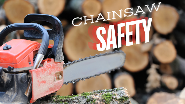 chainsaw in front of a pile of logs