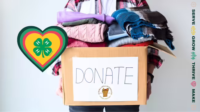 person holding a box of winter items to donate