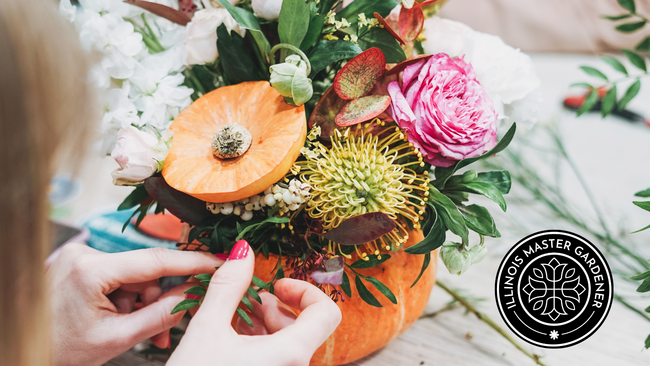 woman's hands creating a floral arrangement inside a pumpkin