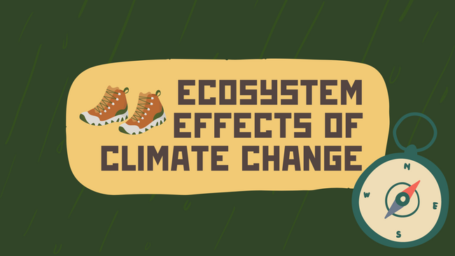 Ecosystem effects of climate change