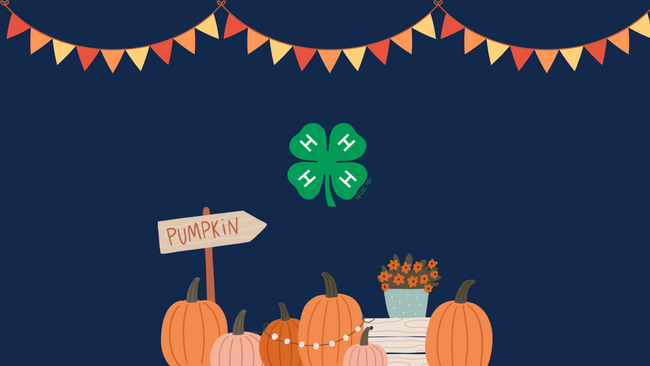 Graphic of pumpkins and a pot of flowers with the 4-H clover