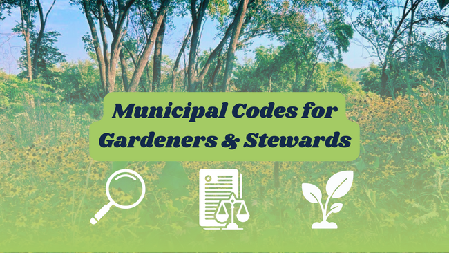 Text reading "Municipal Codes for Gardeners and Stewards" on a background of a native garden