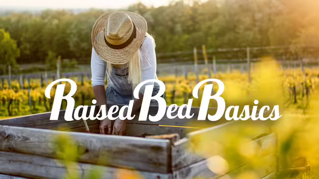 Woman in straw hat working in a raised bed garden