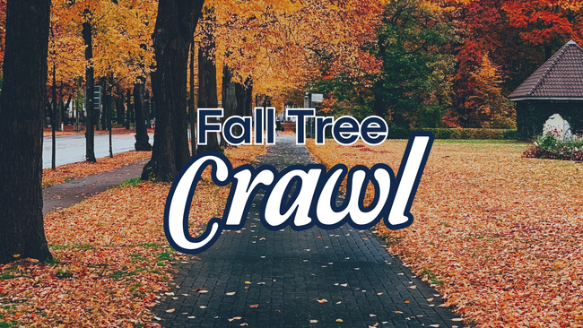 tree lined sidewalk with orange, red and yellow leaves