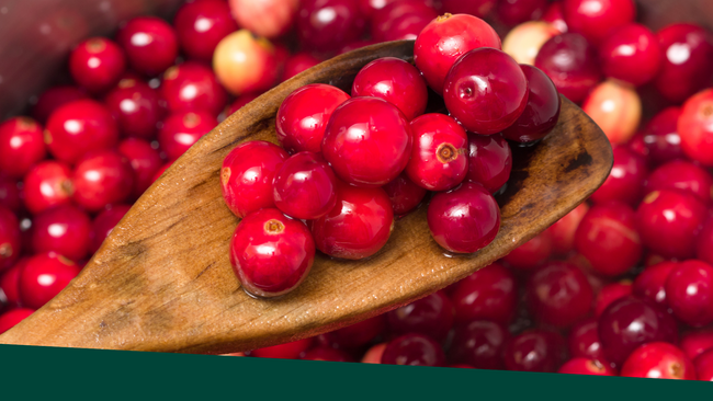 A wooden spoon with cranberries being held over a pot filled with cranberries.