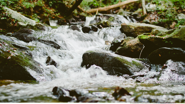 running water in stream passing through rocks