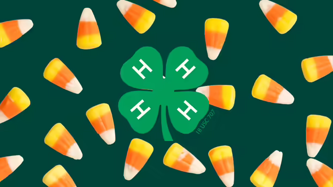 Image of candy corn with the 4-H logo.