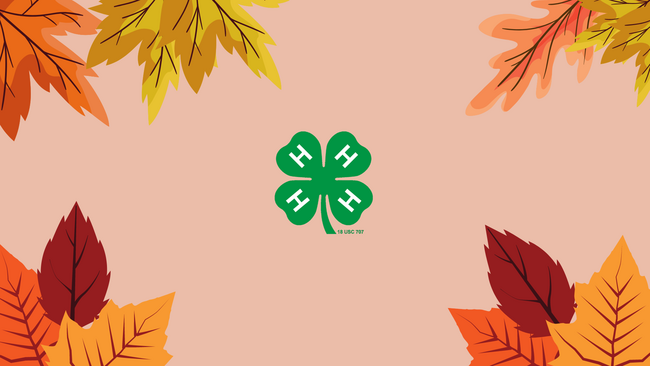 Graphic of leaves with the 4-H clover