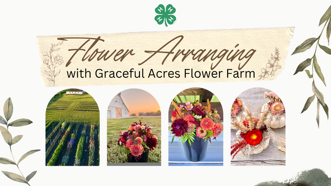 Four separate photos of a field of flowers, pink, red flowers, cut flowers in a blue vase and flower arrangement in a white pumpkin Flower Arranging with Graceful Acres Flower Farm