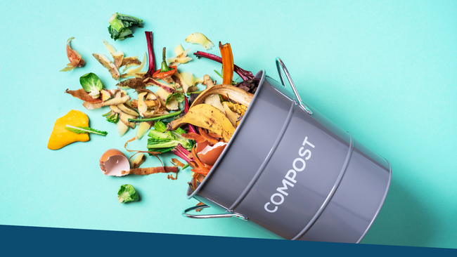 A compost bin filled with leftover scraps from the kitchen spread out on a blue background.