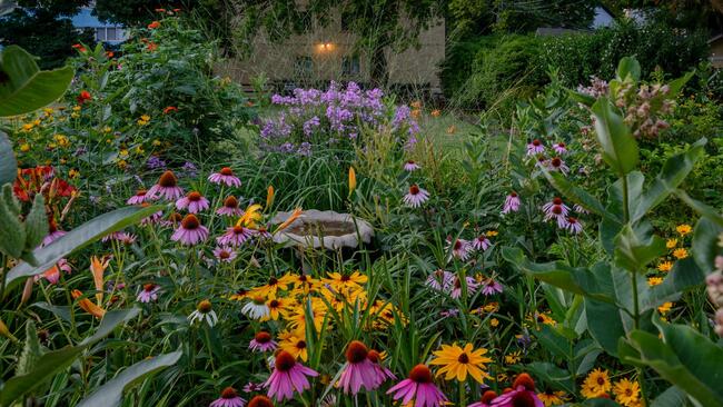 Perennial Garden