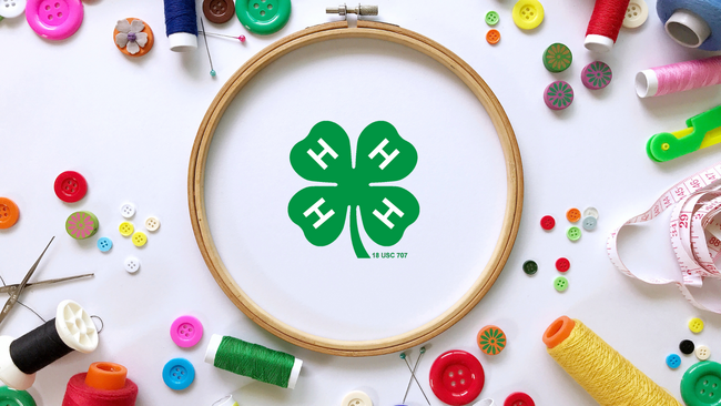 flat laying with embroidery hoop and buttons, thread, measuring tape, and needles on a white background in 4-H clover in middle of the hoop.