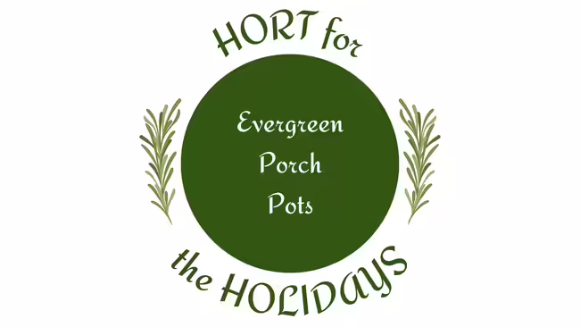 springs of evergreen decorations