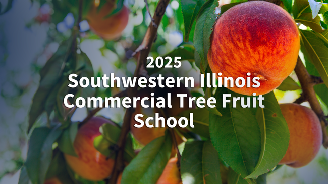 A peach tree with "2025 Southwestern Illinois Commercial Tree Fruit School" text.