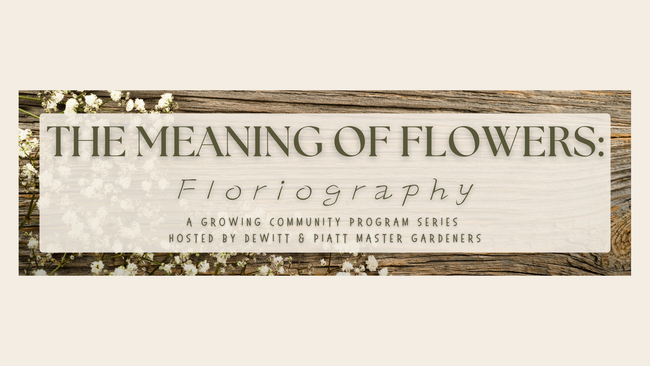 The Meaning of Flowers: Floriography, text pictured inside a wood, flower border