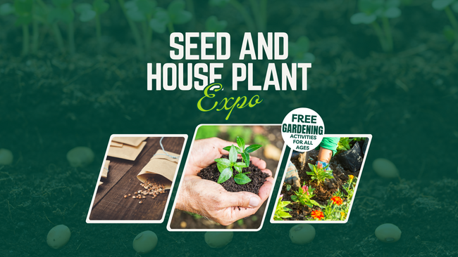 Seed and House Plant Expo, plants and soil in a persons hands pictured