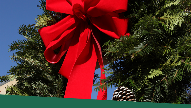 An evergreen wreath with pinecones and red ribbon bow on the top of the wreath.