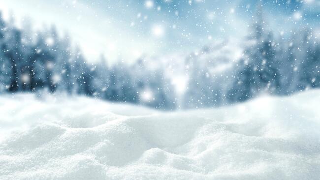 Snow falling on a snow covered ground with winter trees in the distance.