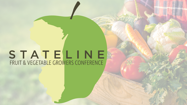 Stateline logo with a image of a person holding a basket full of fresh produce in the background