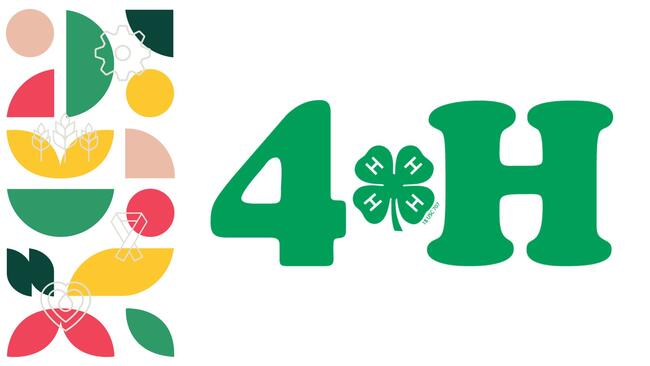 4-H with 4-H clover and decorative trim