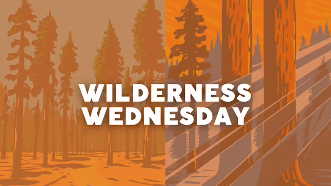 Wilderness Wednesday