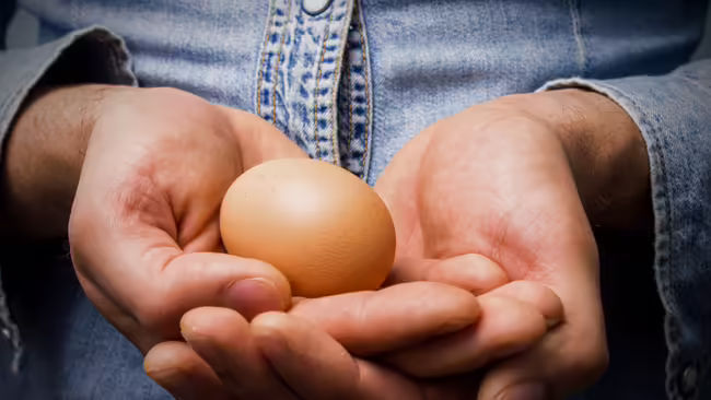 two hands holding a brown egg