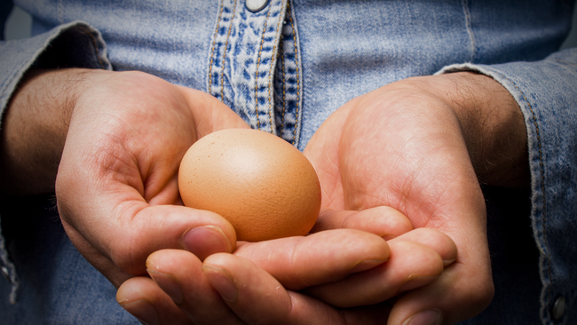 two hands holding a brown egg