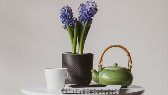 A cup, plant, and teapot that is next to journal and pens.