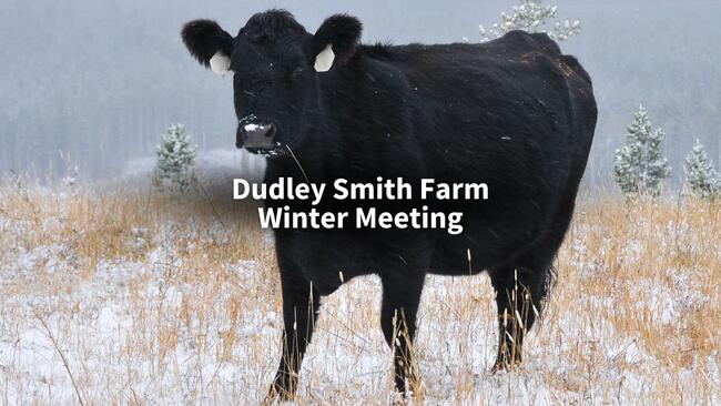 black cow in snowy field with words Dudley Smith Farm Winter Meeting