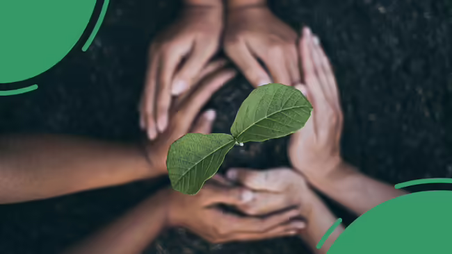 Hands surrounding a plant.