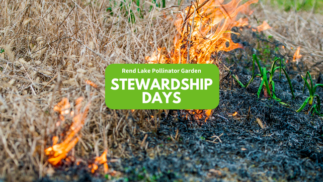 weeds burning, "Rend Lake Pollinator Garden Stewardship Day"