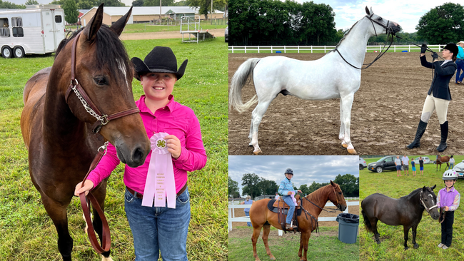 Photos of 2024 participants of the horse show