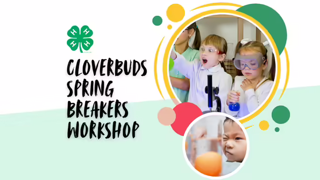 Cloverbuds Spring Breakers Workshop, youth pictured participating in program