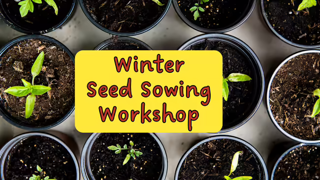 Winter Seed Sowing Workshop