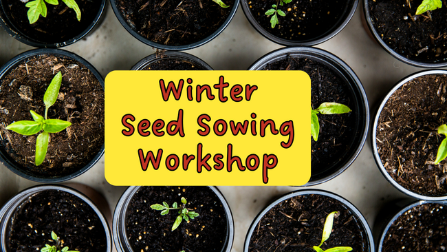 Winter Seed Sowing Workshop