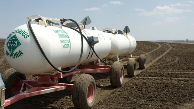 anhydrous nurse tanks