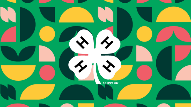 A white 4-H clover in the middle with various shapes on a green background.