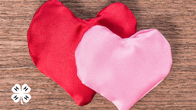 A pink and red heart laying on a wooden background. A white 4-H clover in the bottom left corner.