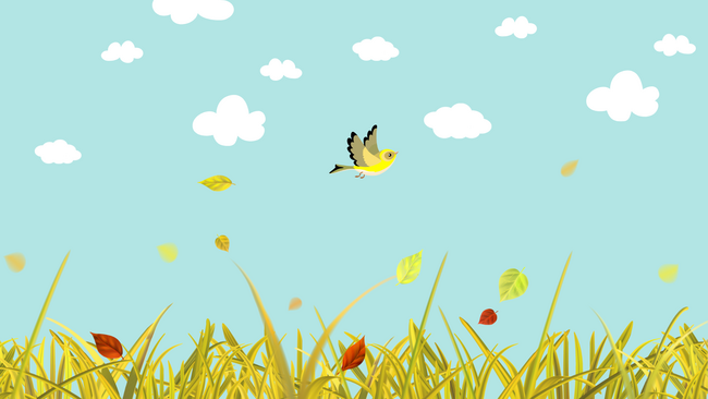 bird flying over tall grass