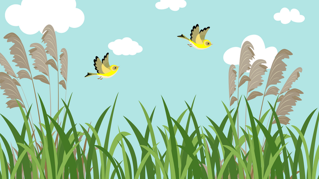 Birds flying over tall grass