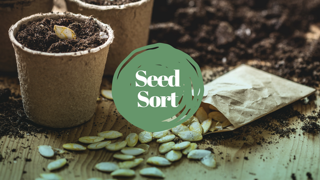 "Seed Sort" seeds and plants in containers.