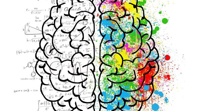 Drawing of a brain, one side in black and white, the other side with multiple colors.