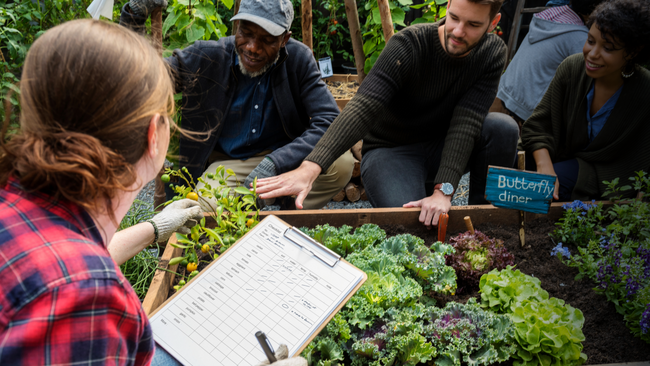 A group of people around a raised garden bed having a discussion and looking at what they are growing.