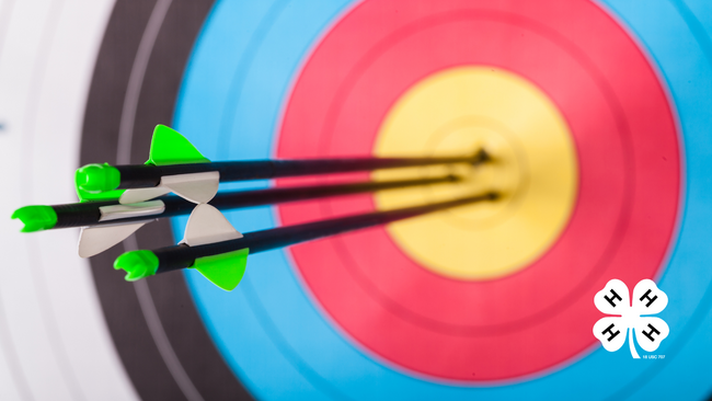 A target with 3 archery arrows in the middle of the target. A white 4-H clover in the bottom right corner.