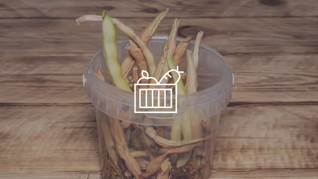 Plastic cup with dried beans in it and a graphic of a produce basket.