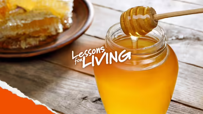 honey in a jar with text Lessons for Living over it