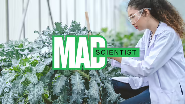 Mad Scientist