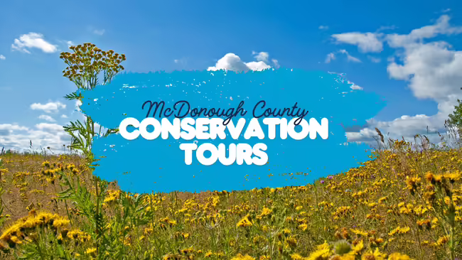 Image of a prairie filled with yellow flowers with the words, "McDonough County Conservation Tours" overlayed on the image.